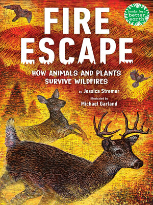 cover image of Fire Escape